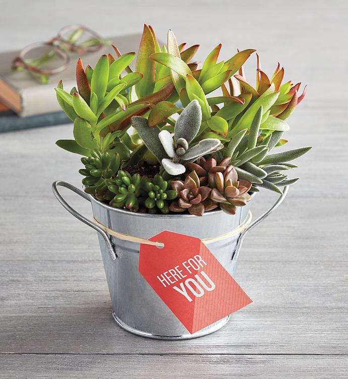 "Here for You" Succulents